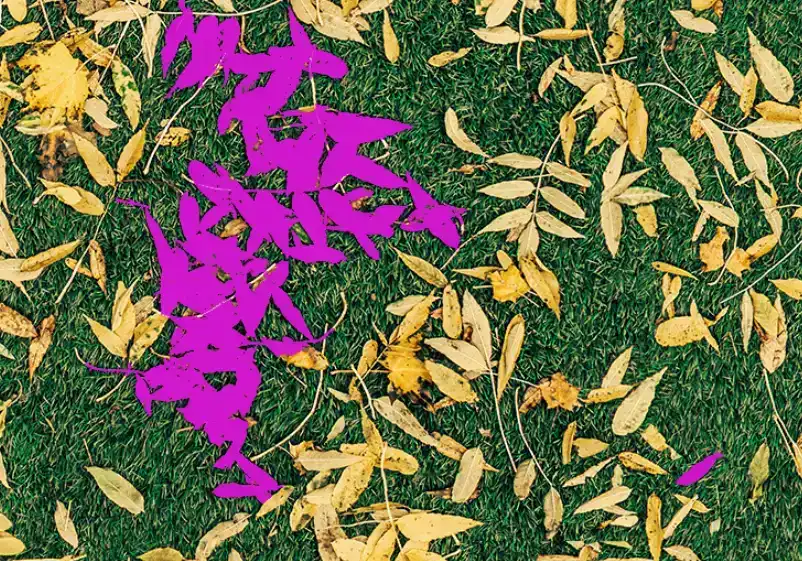 Photoshop Paint Bucket Tool Tutorial