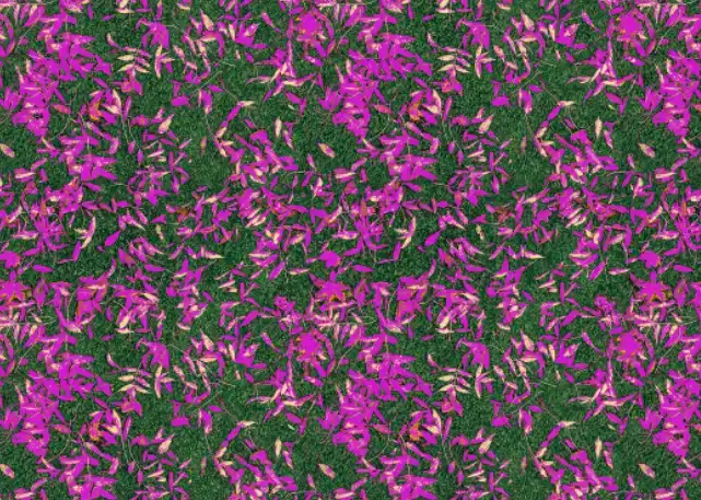 Photoshop Paint Bucket Tool Tutorial