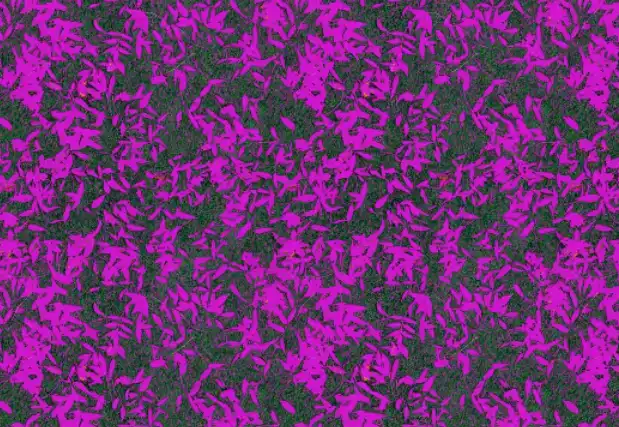 Photoshop Paint Bucket Tool Tutorial