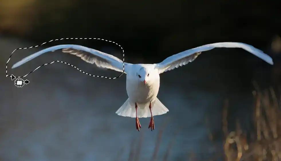 Photoshop Patch Tool Tutorial