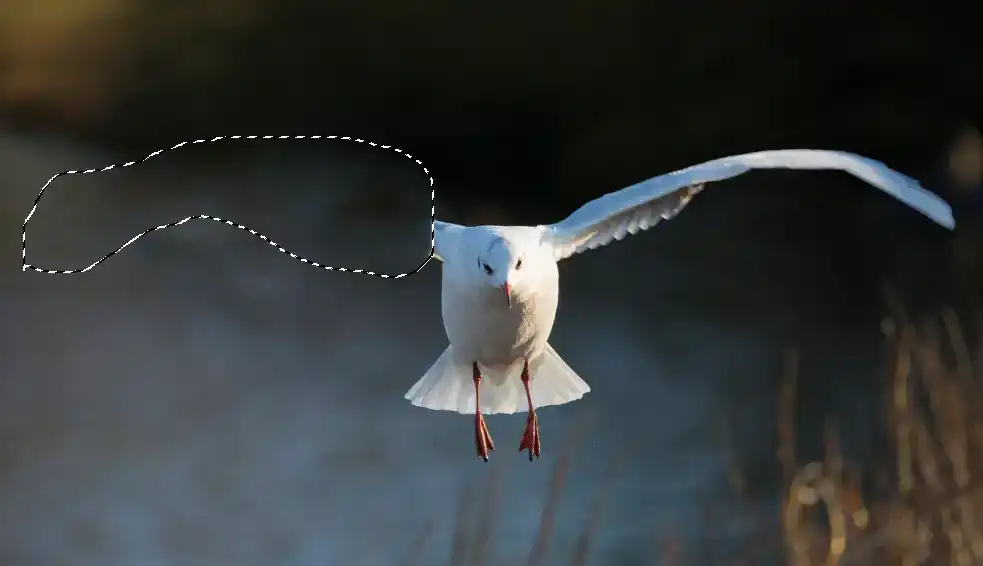 Photoshop Patch Tool Tutorial