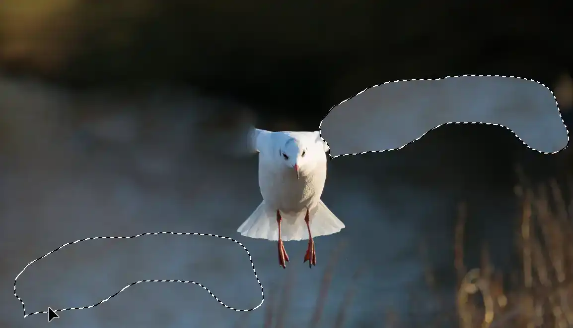 Photoshop Patch Tool Tutorial