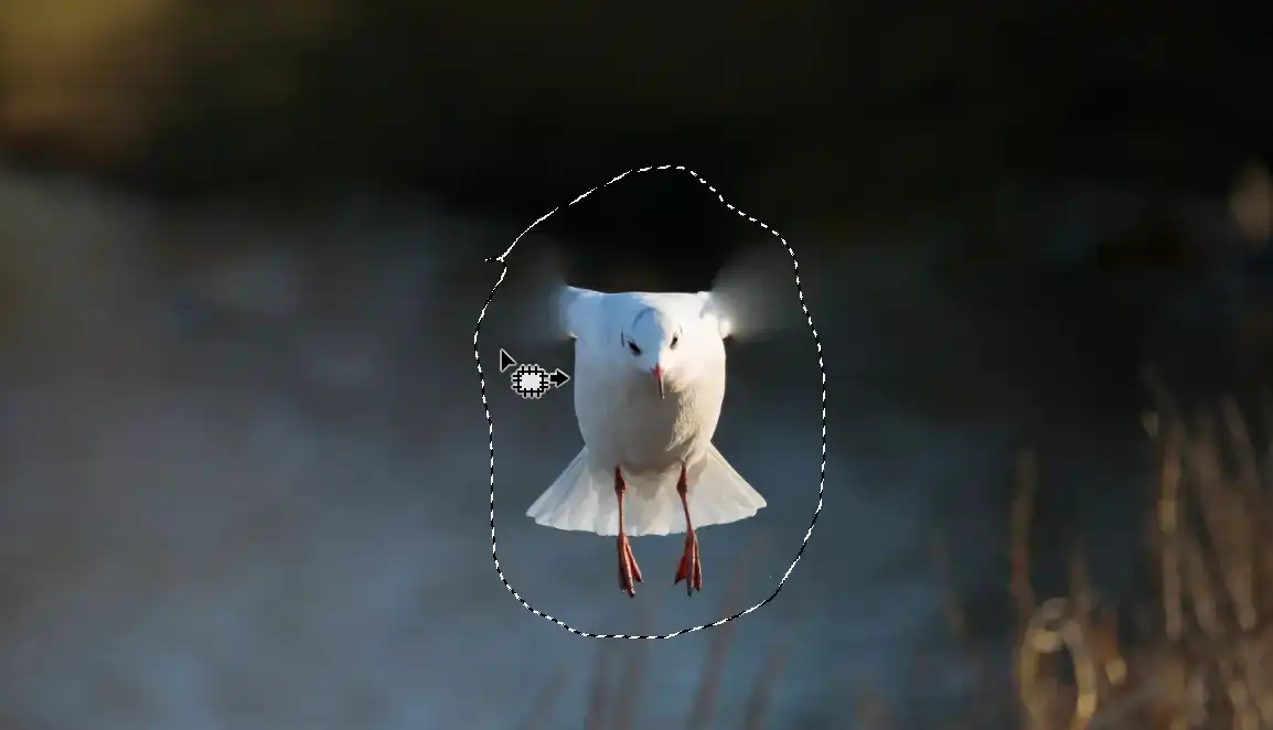 Photoshop Patch Tool Tutorial