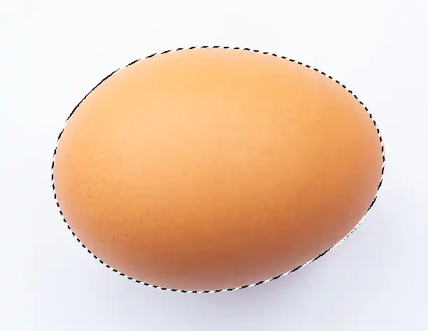 Photoshop Pen Tool Tutorial