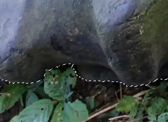 Photoshop Quick Selection Tool Tutorial