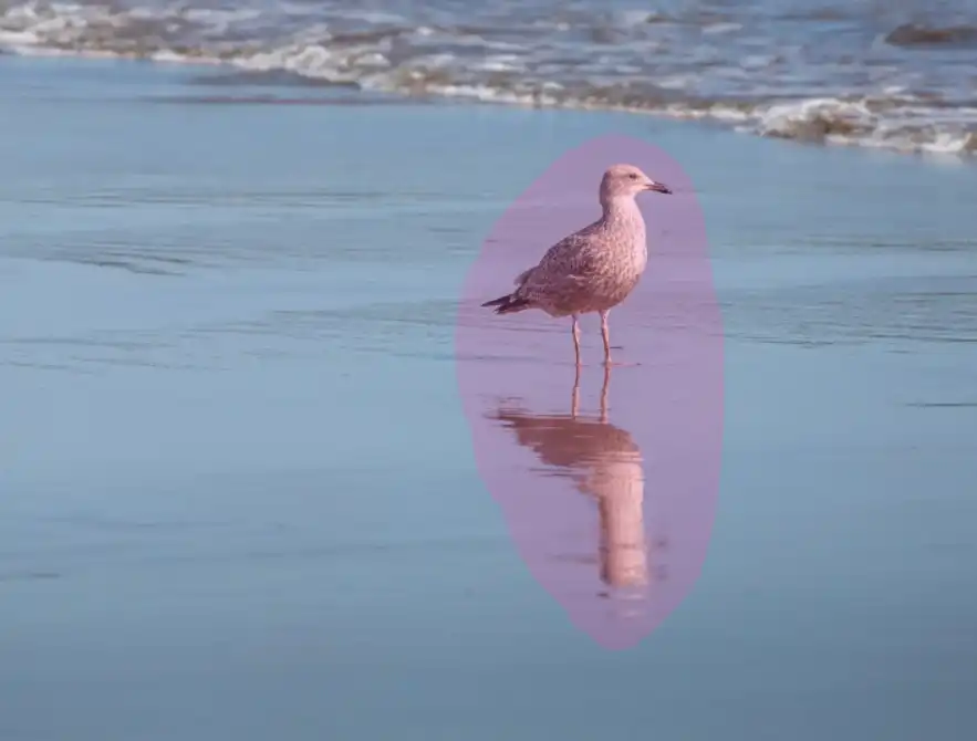 Photoshop Remove Tool Tutorial