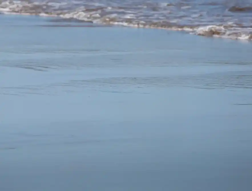 Photoshop Remove Tool Tutorial