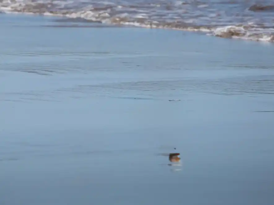 Photoshop Remove Tool Tutorial