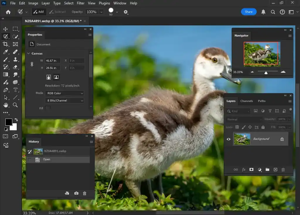 Photoshop Screen Modes Tool Tutorial