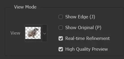 Photoshop Select and Mask Tool Tutorial