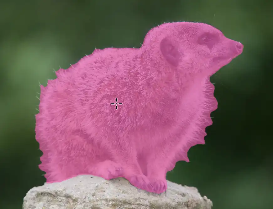 Photoshop Select and Mask Tool Tutorial