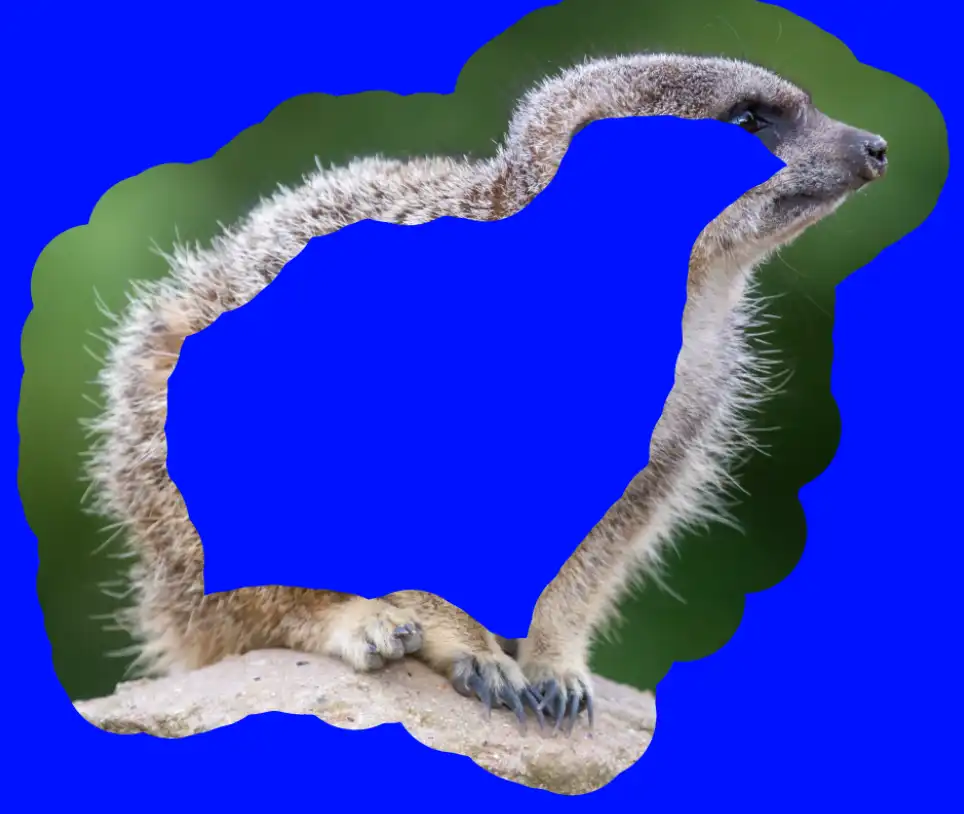 Photoshop Select and Mask Tool Tutorial