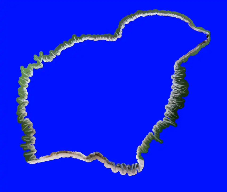 Photoshop Select and Mask Tool Tutorial