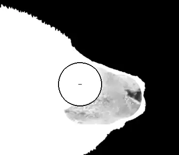 Photoshop Select and Mask Tool Tutorial