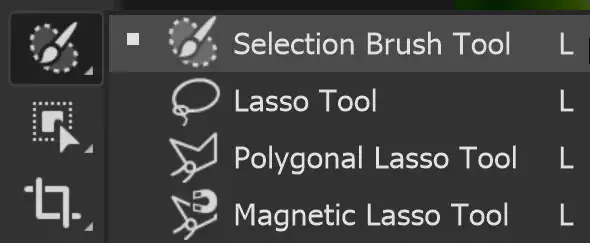 Photoshop Selection Brush Tool Tutorial