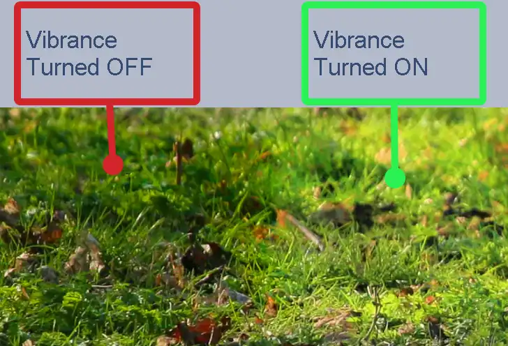 Photoshop Sponge Tool Tutorial