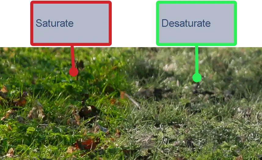 Photoshop Sponge Tool Tutorial