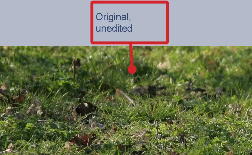 Photoshop Sponge Tool Tutorial