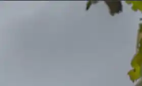 Photoshop Spot Healing Brush Tool Tutorial