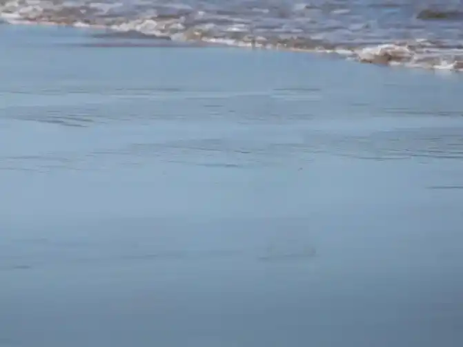 Photoshop Spot Healing Brush Tool Tutorial