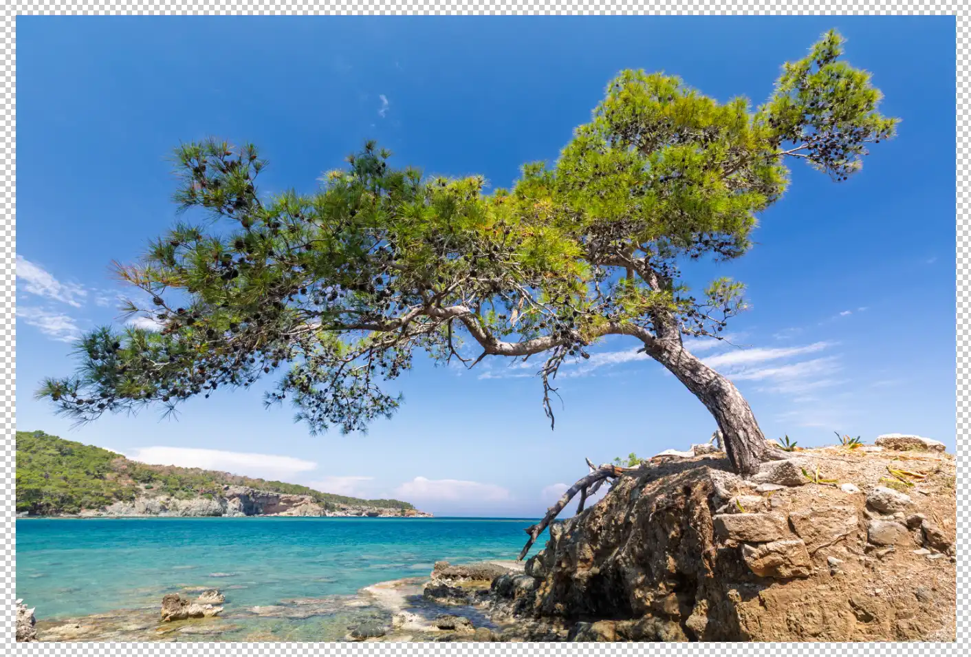 Photoshop Motion Blur Tutorial