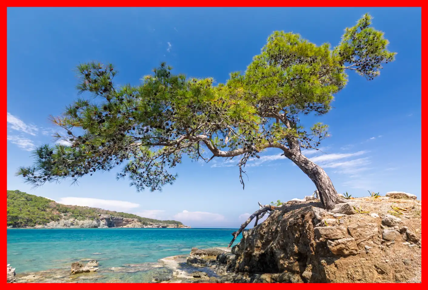 Photoshop Motion Blur Tutorial