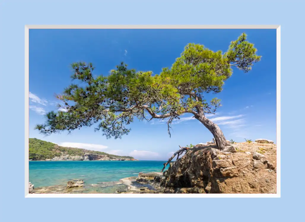 Photoshop Motion Blur Tutorial