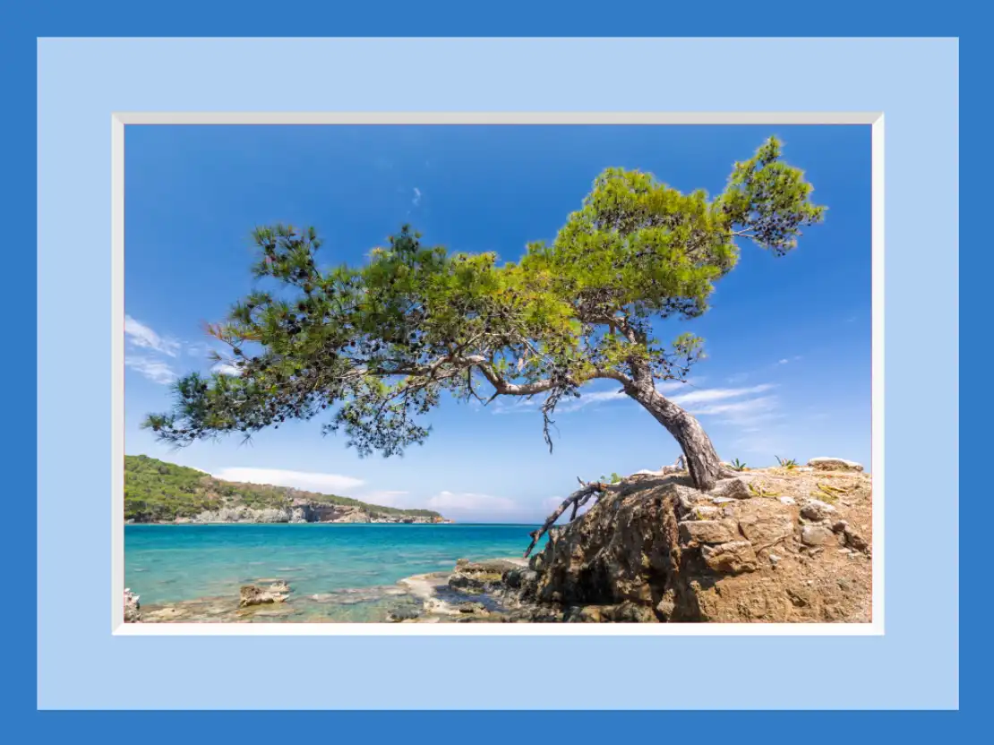 Photoshop Motion Blur Tutorial