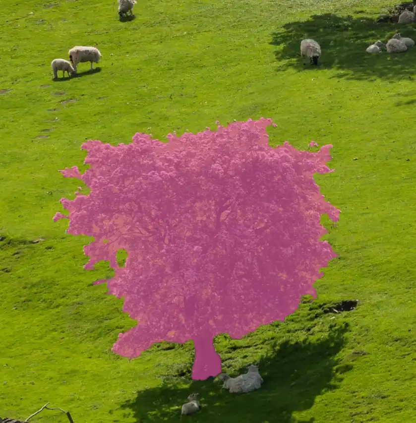 Photoshop Resize Object with Move Tool tutorial