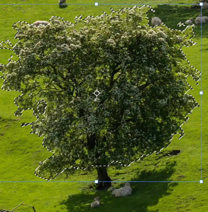 Photoshop Resize Object with Move Tool tutorial