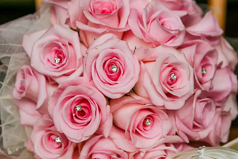 Wedding photography at Moreteyne Manor, Bedfordshire