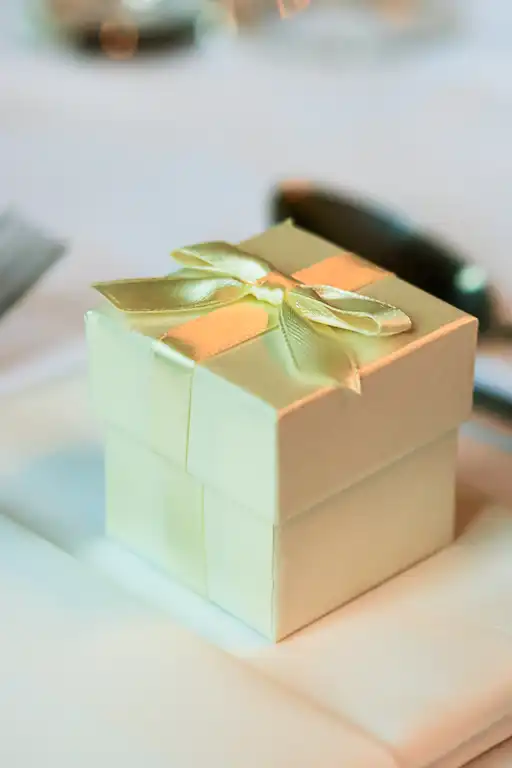 Wedding photography at Gosfield Hall, Essex