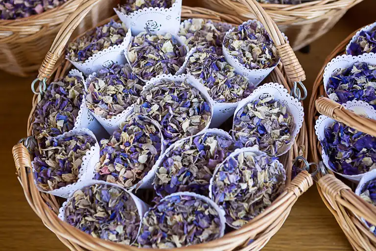 Wedding photography at Childwickbury, St Albans