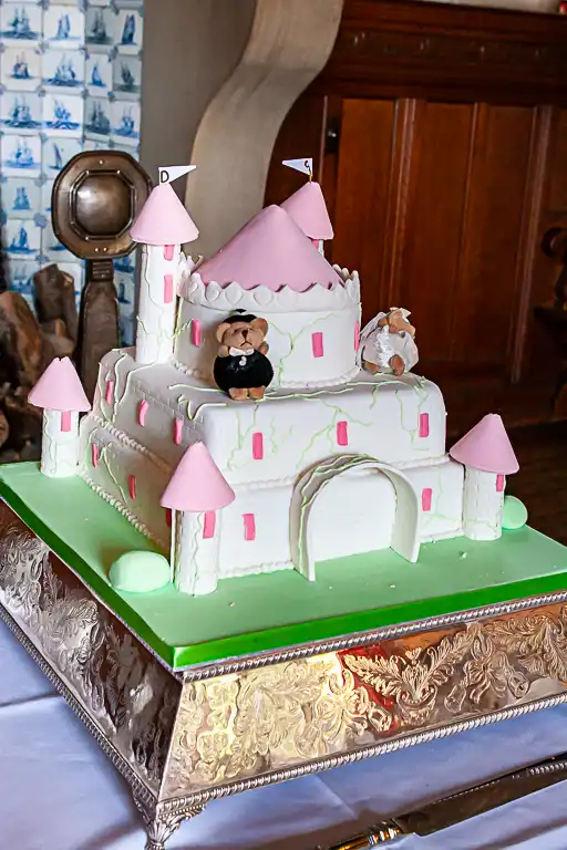 Wedding photography at Fanhams Hall, Ware