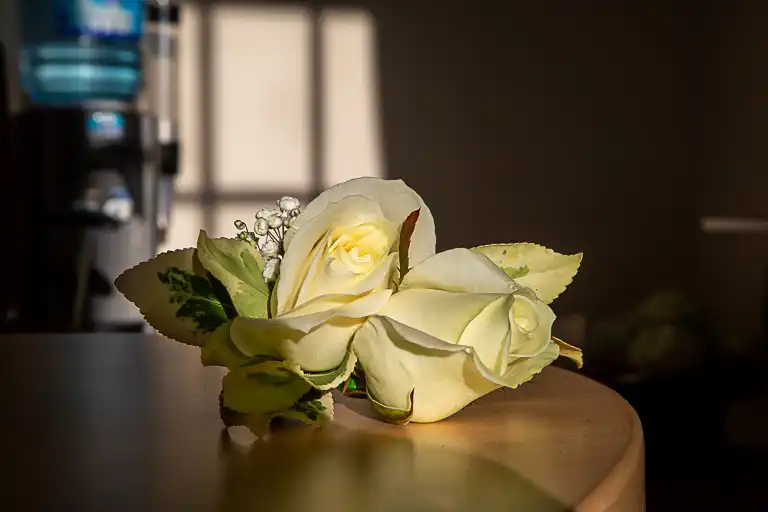 Wedding photography at Hunton Park