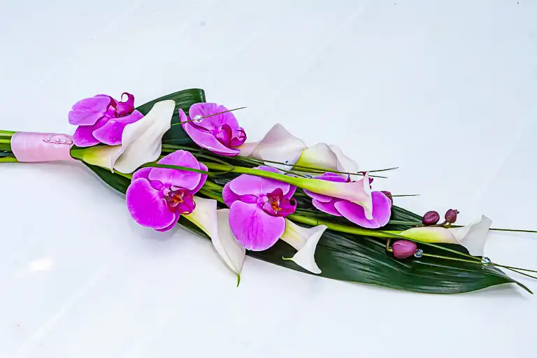 Wedding photography at Letchworth Hall Hotel, Letchworth