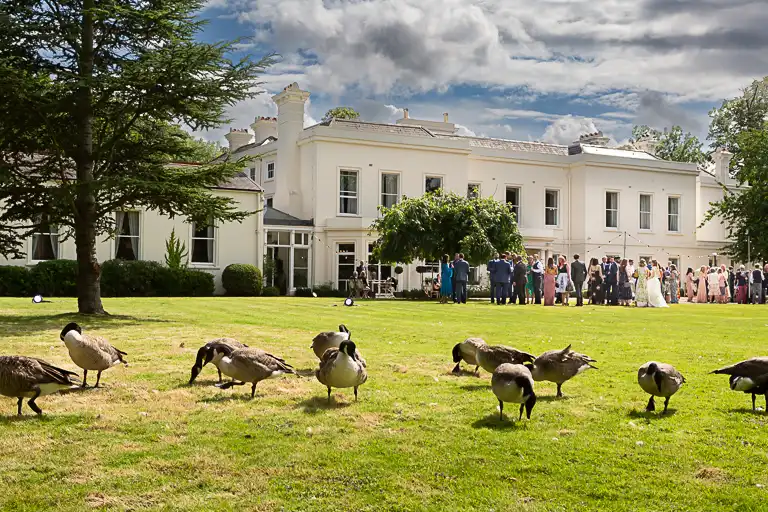 Wedding photography at Morden Hall, Wimbledon